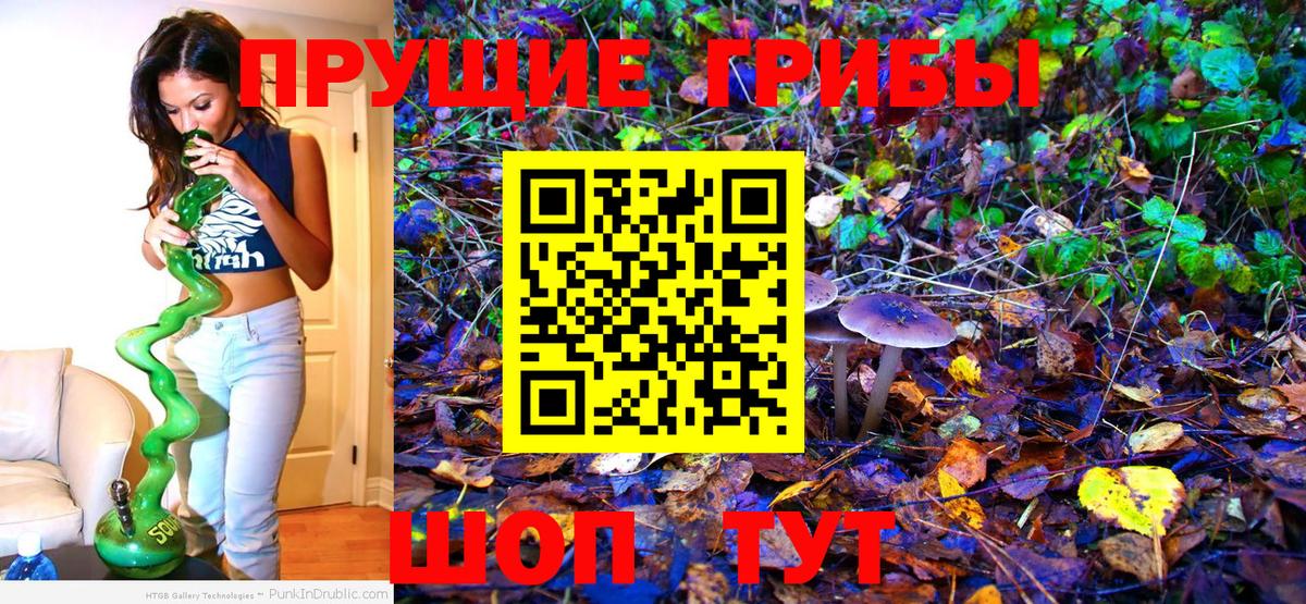 Елизово  Псилоцибиновые грибы прущие грибы  Вход с VPN 